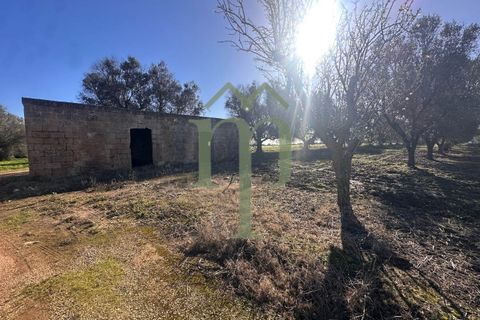 Ruinere i Brindisi, Brindisi, Brindisi - € 68.000 | Ref: Casolare Bern - foto 10
